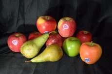 🍎 Appels & peren