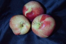 witte nectarine per kg