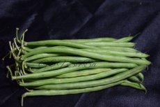 belgishe fijne bonen per kg
