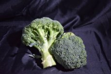 Spaanse broccoli