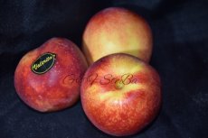 gele nectarine per kg