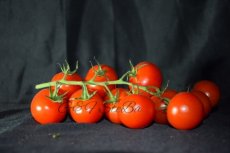 ministar tomaten per kg