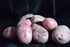 nieuwe rode belgische aardappelen 1kg