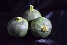 ronde courgettes